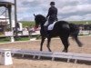 dressage horse Rupashri (Hanoverian, 2005, from Rotspon)