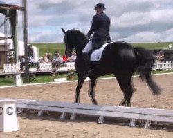 dressage horse Rupashri (Hanoverian, 2005, from Rotspon)