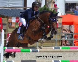 stallion Emmickhoven's Diego (New Forest Pony, 1997, from Kantje's Ronaldo)