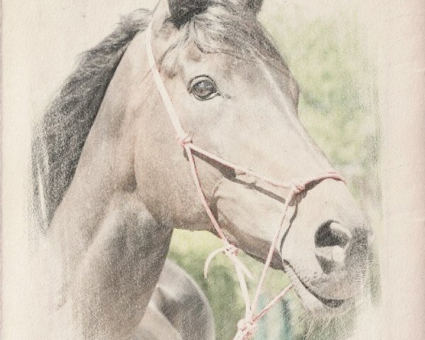 horse Wilde Hilde xx (Thoroughbred, 2004, from Zinaad xx)