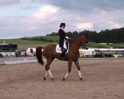 dressage horse Donington Park (Hanoverian, 2001, from De Niro)