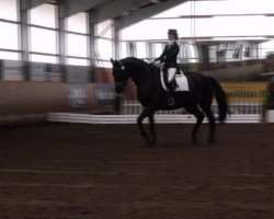 dressage horse Dopacca (Hanoverian, 1999, from Donnerschlag)