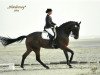 dressage horse Legolas B (Westphalian, 2003, from Laomedon)