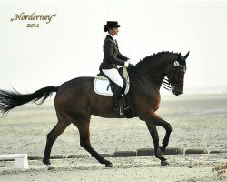 dressage horse Legolas B (Westphalian, 2003, from Laomedon)