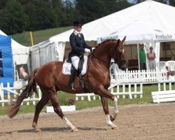 dressage horse Fairbanks G (Oldenburg, 2007, from Faustinus)