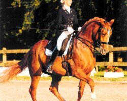 dressage horse Ally Mc Beal 9 (Oldenburg, 1997, from Alabaster)