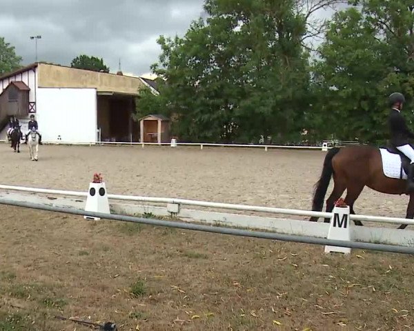Reitturnier Hof-Haidt/Ofr. 2022