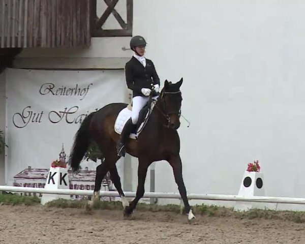Reitturnier Hof-Haidt/Ofr. 2022