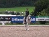 Zuchtstute Samba (Deutsches Reitpony,  , von Sombrero B 420)