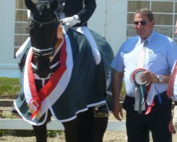 broodmare First Kiss (Westphalian, 2006, from Van the Man)