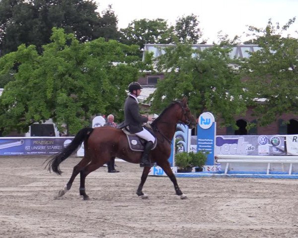 Reitturnier Haren-Raken 2022