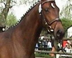 broodmare Sacre Schwalbe (Trakehner, 2002, from Manhattan)