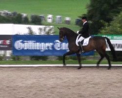 dressage horse Kleppenhus Seb Sieboldii (Danish Warmblood, 2003, from Sandro Hit)