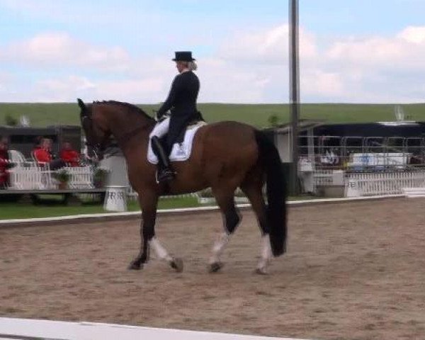 dressage horse Dany White (Oldenburg, 2002, from De Niro)