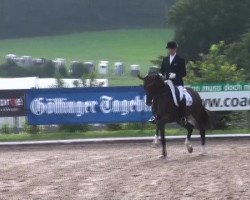 broodmare Schmuckstück 2 (Hanoverian, 2007, from St. Moritz)