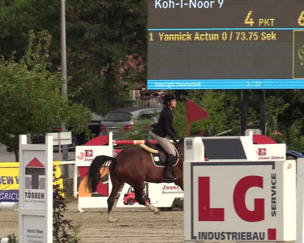 Reitturnier Haren-Raken 2022