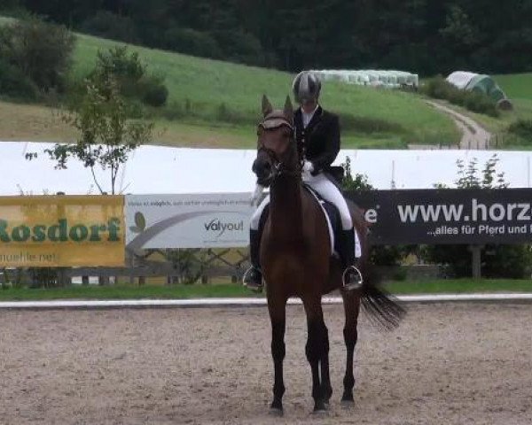 dressage horse Eomer 3 (Oldenburg, 2007, from Exodus)