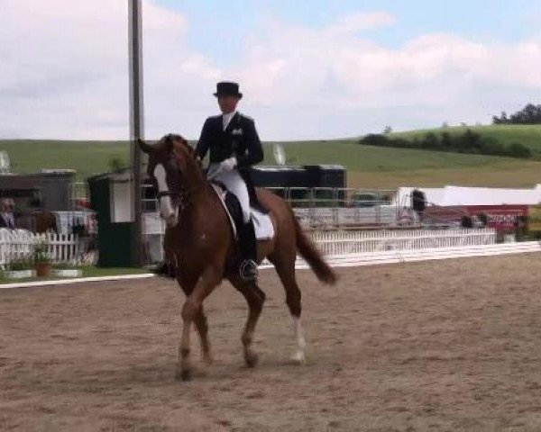 dressage horse Rood Vander (Hanoverian, 2002, from Rotspon)