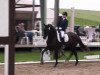 jumper Sirius S (Hanoverian, 2007, from Sandro Hit)