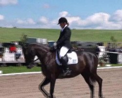 dressage horse Welcome Sunshine 2 (Hanoverian, 2001, from Wolkenstein II)