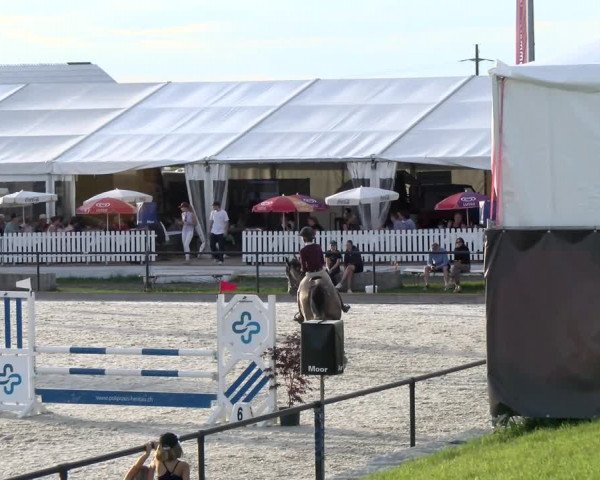 Reitturnier Gossau (Stall Sommersweid) 2022