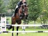 jumper Esco Top (Hanoverian, 2004, from Escudo I)