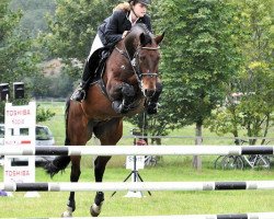 jumper Esco Top (Hanoverian, 2004, from Escudo I)