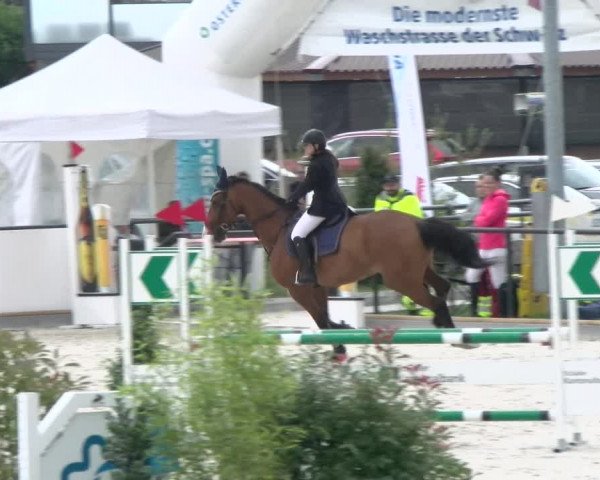Reitturnier Gossau (Stall Sommersweid) 2022