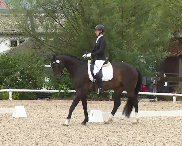 Reitturnier Hof-Haidt/Ofr. 2022
