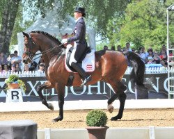 dressage horse Fabriano 58 (Westfale, 1999, from Florestan I)