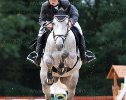 jumper Canturo T (German Sport Horse, 2007, from Canterbury)