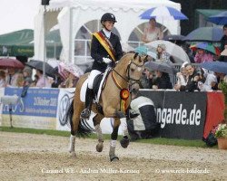 dressage horse Caramel FH WE (German Riding Pony, 2008, from Cyriac WE)