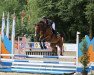 jumper At The Top 2 (Oldenburg show jumper, 2011, from Armitage)