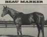 stallion Beau Marker xx (Thoroughbred, 1965, from Beau Gar xx)