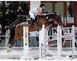 jumper Fallin Friend (Hanoverian, 2002, from Fabriano)