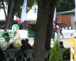 dressage horse Captain Jack 4 (Oldenburg, 1994, from Campari M)