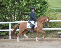 dressage horse de Luxe 47 (Deutsches Reitpony, 2005, from FS Don't Worry)