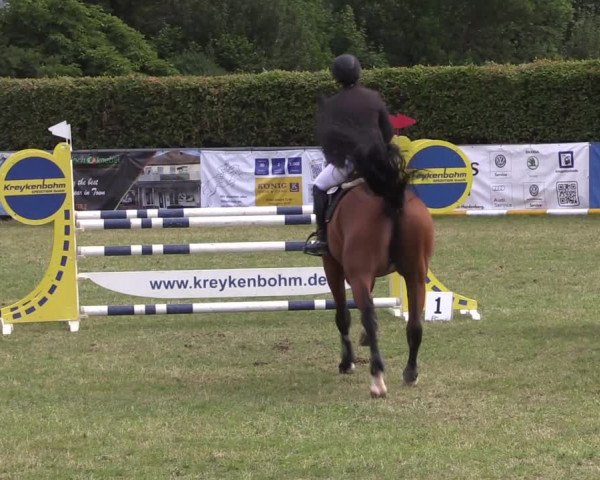 Reitturnier Moringen 2022