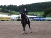 dressage horse Wauthi 13 (Hanoverian, 2004, from Weltmeyer)