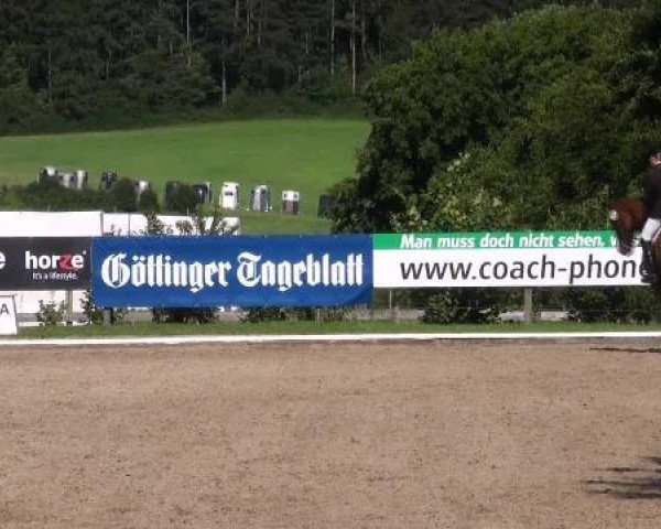 dressage horse Willi Blue (Hanoverian, 1999, from Weltmeyer)