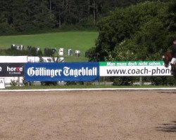 dressage horse Willi Blue (Hanoverian, 1999, from Weltmeyer)