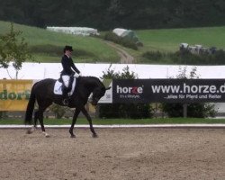 dressage horse Emilia Galotti 2 (Hanoverian, 2004, from Earl)