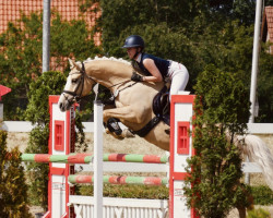 dressage horse Danny’s Goldie (Deutsches Reitpony, 2016, from Danny Gold)