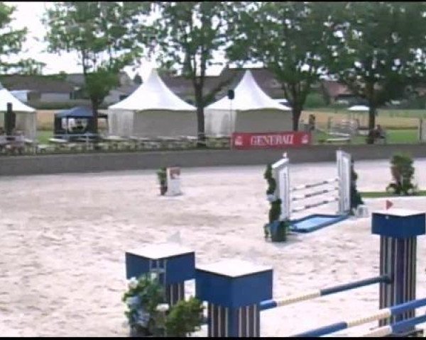 jumper Cyriana (Oldenburg show jumper, 2006, from Pessoa VDL)