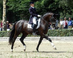 stallion Kapriolan F (Trakehner, 1996, from Exclusiv)