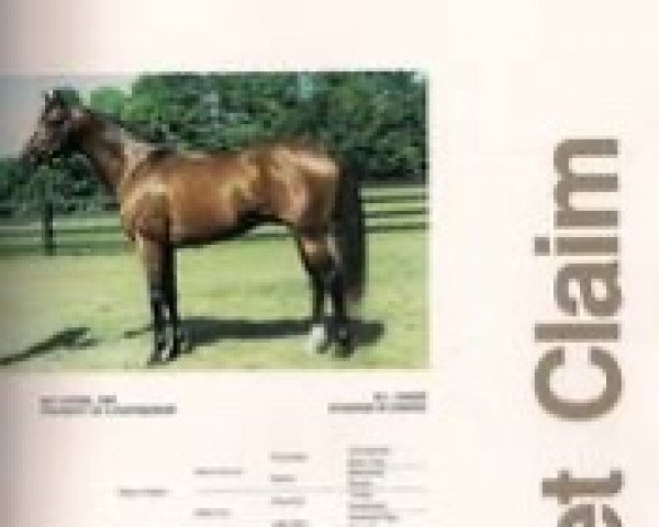 stallion Secret Claim xx (Thoroughbred, 1985, from Mr. Prospector xx)