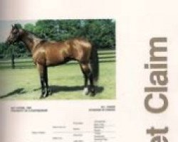 stallion Secret Claim xx (Thoroughbred, 1985, from Mr. Prospector xx)