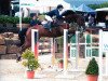 Springpferd Double Eagle (Belgisches Warmblut, 1999, von Darco)