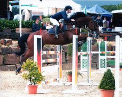 jumper Double Eagle (Belgian Warmblood, 1999, from Darco)