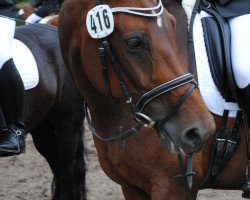 dressage horse Lovely Dream 9 (Westphalian, 2004, from Liebeszauber)